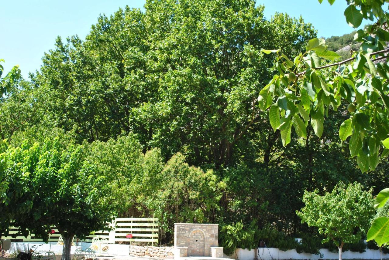 Guesthouse Eleftherios Kalavryta Exterior foto