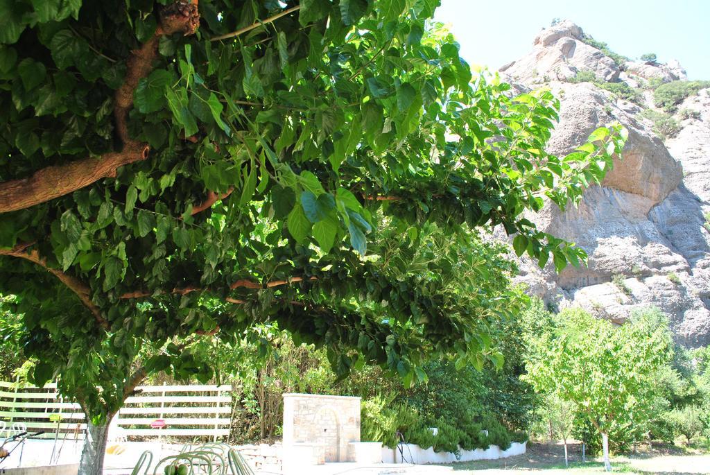 Guesthouse Eleftherios Kalavryta Exterior foto