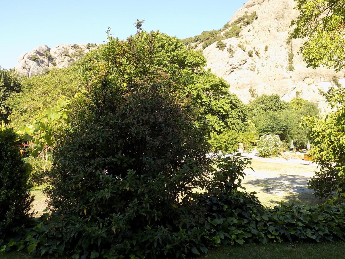 Guesthouse Eleftherios Kalavryta Exterior foto